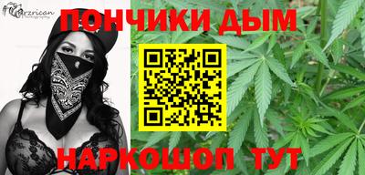 гидропоника Гусиноозёрск