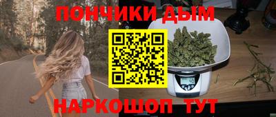 гидропоника Гусиноозёрск
