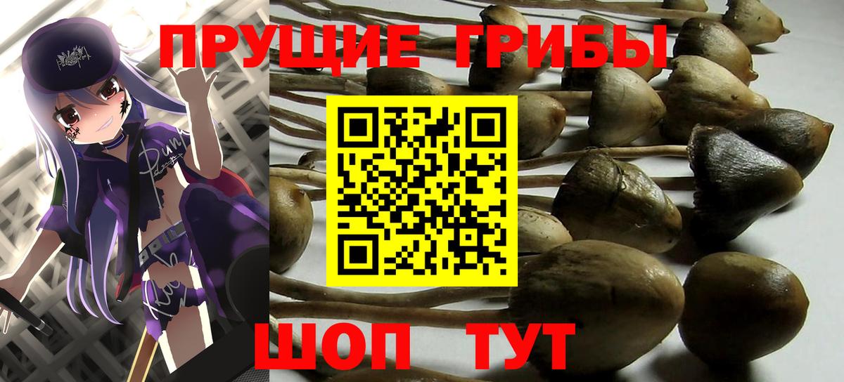 Новокубанск  Псилоцибиновые грибы MAGIC MUSHROOMS  Вход с VPN 