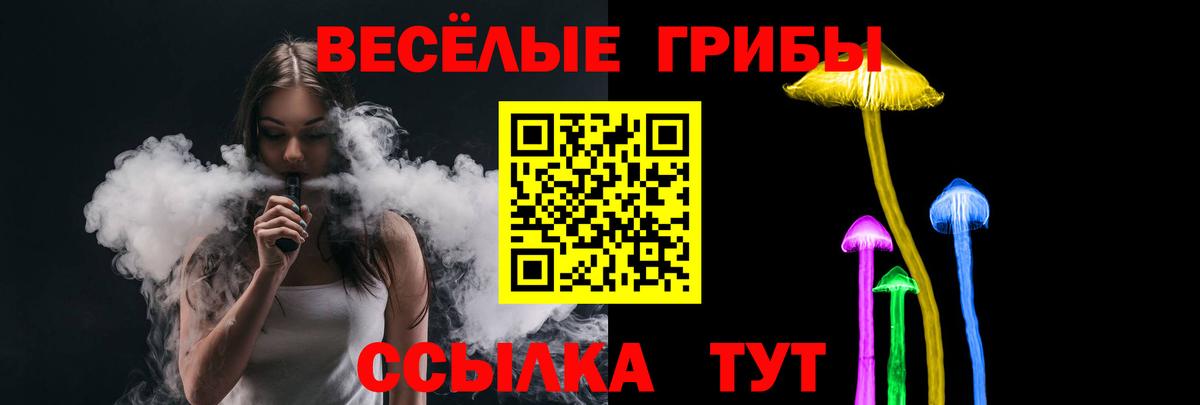 Галлюциногенные грибы Magic Shrooms Новокубанск